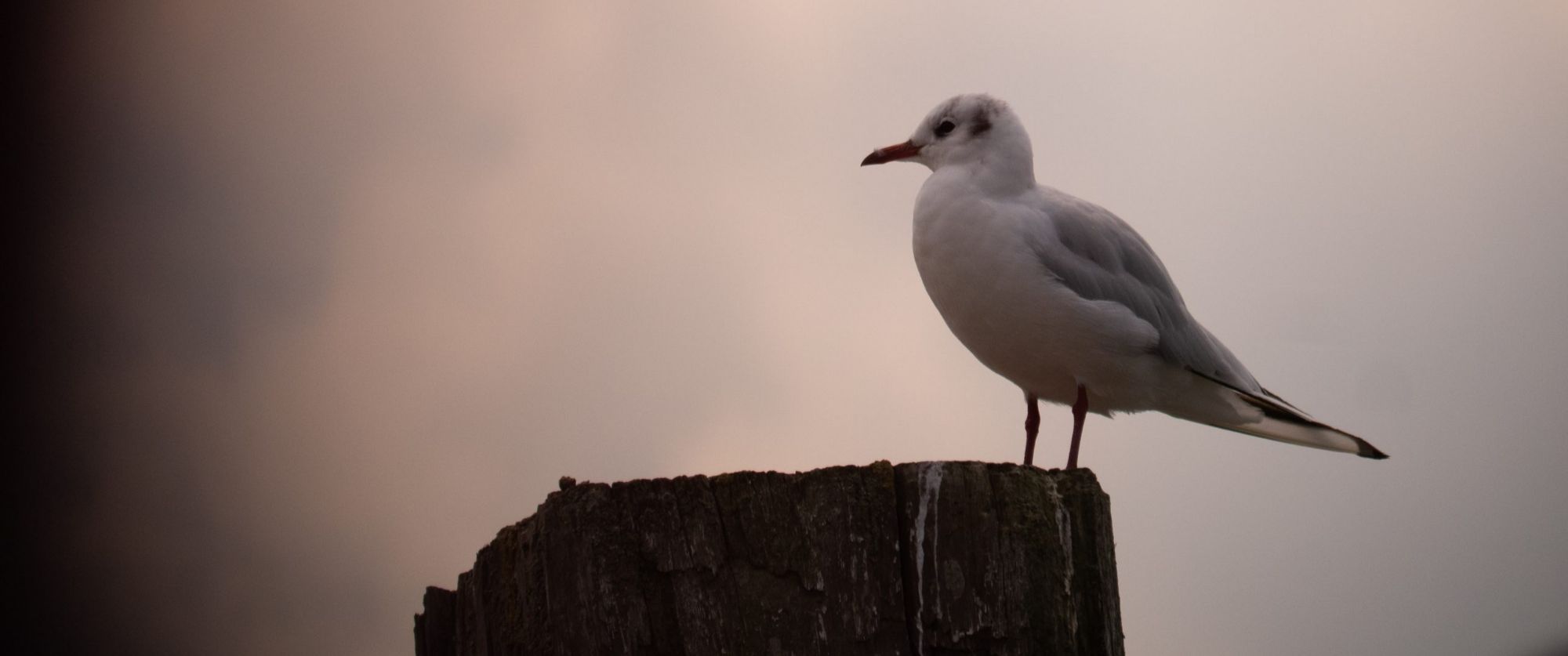 Meine Zeit auf Wangerooge