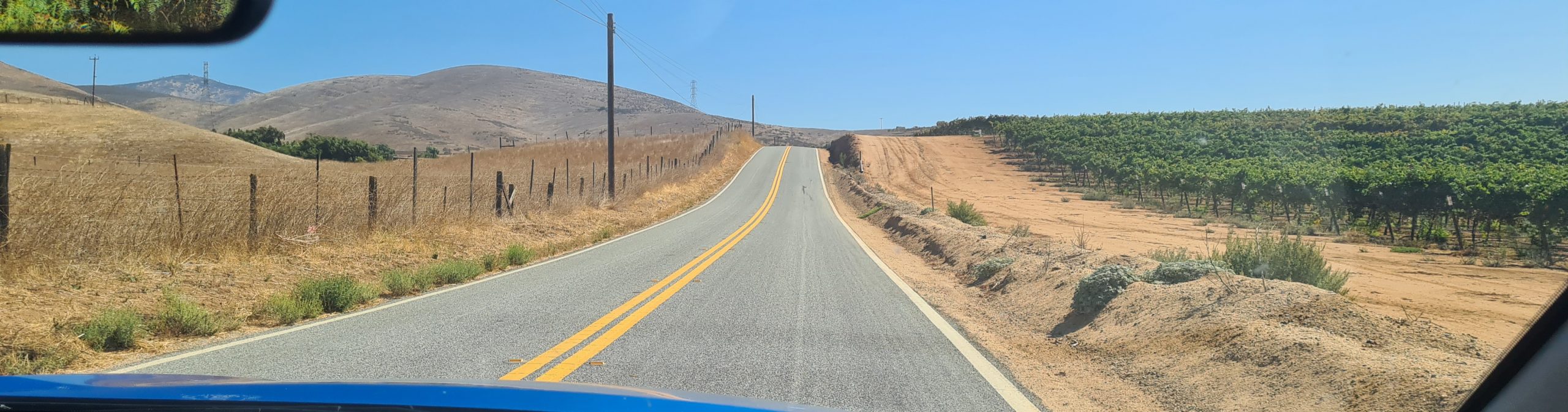 Roadtrip auf dem Highway 1
